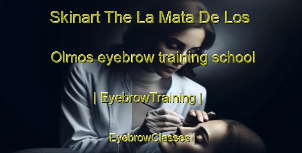 Skinart The La Mata De Los Olmos eyebrow training school | EyebrowTraining | EyebrowClasses | SkinartTraining-Spain